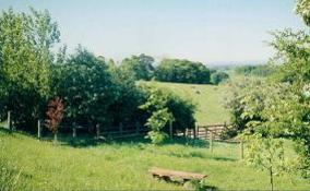 Green hills, with post and rail fence and surrounded by trees